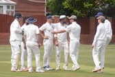 Wicket: Wath celebrate taking a wicket against Conisbrough
