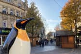 The penguins are on display in Doncaster