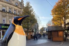 The penguins are on display in Doncaster
