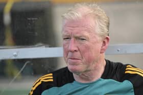 Rotherham United target Steve McClaren. Picture: Getty Images