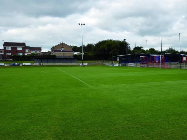 Real turf could be replaced at Roundwood
