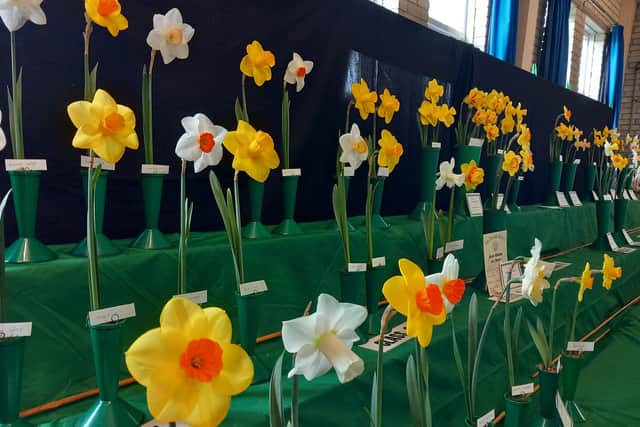 Impressive: Some of the entries in the Daffodil and Spring show