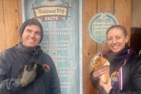 Andrew and Keeley Jonas from Mayfield Animal Park with some Guinea pigs at their new Gulliver’s Valley home.