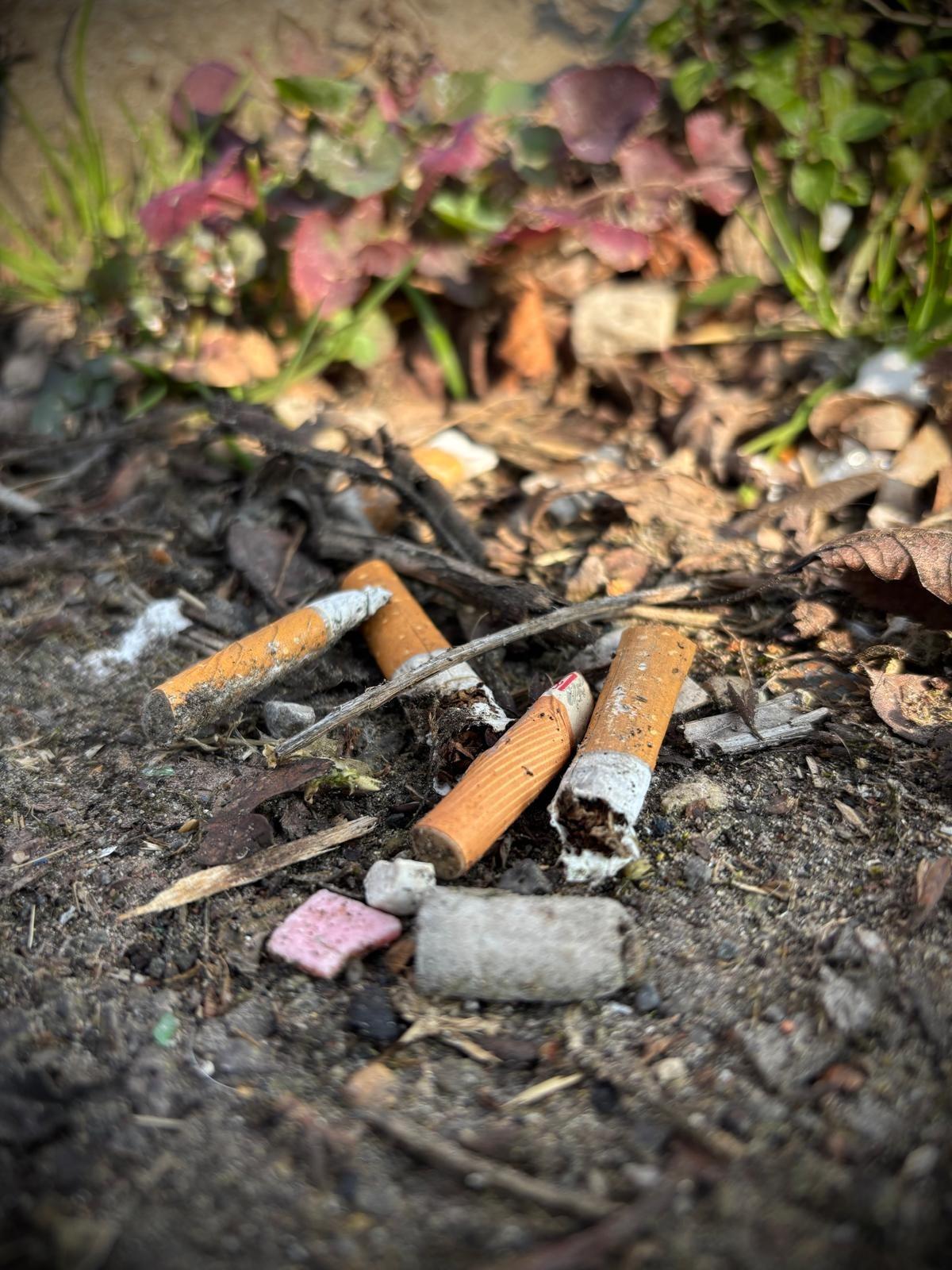 Another shop closed over illegal cigarette sales