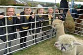 Children met an array of animals when Ian's Mobile Farm visited Brookfield Junior Academy at Swinton - photo by Kerrie Beddows