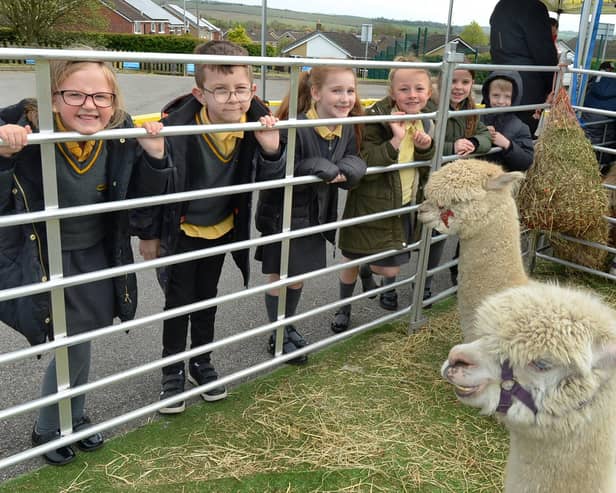 Children met an array of animals when Ian's Mobile Farm visited Brookfield Junior Academy at Swinton - photo by Kerrie Beddows