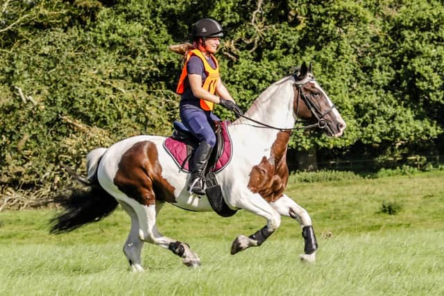 ENDURANCE: Jennifer Gaimster and Striker