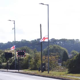New rules could cover how lamp posts are used