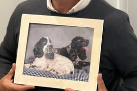 Philip holding a picture of cocker spaniels Bella (left) and Lilly